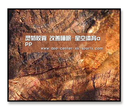 星空体育手机版
