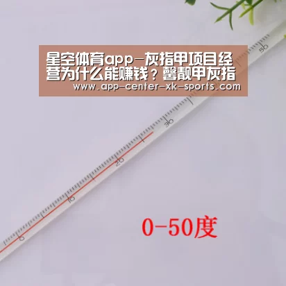 星空体育app
