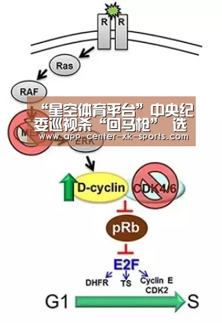 星空体育app
