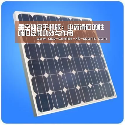 星空体育手机版:中药滑石的性味归经和功效与作用(图1) 星空体育 半岛